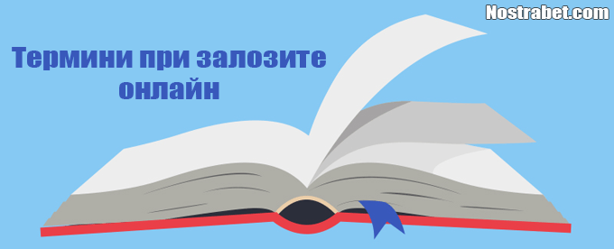 термини при залозите онлайн